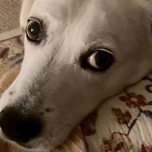 Meet your Posher, Starla